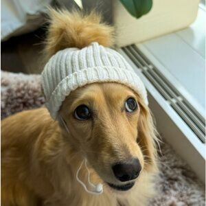 Meet your Posher, Melisse